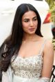 Ruler Movie Heroine Sonal Chauhan Interview Photos