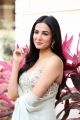 Actress Sonal Chauhan New Photos @ Ruler Movie Interview