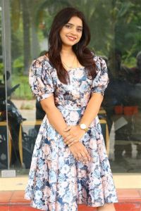 Actress Sonali Garje Photos @ Preminchoddu Teaser Launch