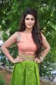 Telugu Heroine Sonarika Hot Images