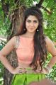 Telugu Actress Sonarika Bhadoria Hot Images