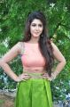 Telugu Actress Sonarika Bhadoria Hot Images