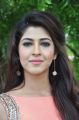 Telugu Heroine Sonarika Bhadoria Hot Images