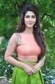 Telugu Heroine Sonarika Bhadoria Hot Images