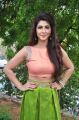 Telugu Heroine Sonarika Hot Images