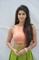 Telugu Heroine Sonarika Hot Images