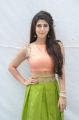 Telugu Actress Sonarika Bhadoria Hot Images