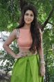 Telugu Heroine Sonarika Hot Images