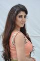 Telugu Heroine Sonarika Hot Images