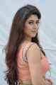 Telugu Actress Sonarika Bhadoria Hot Images