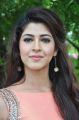 Telugu Heroine Sonarika Bhadoria Hot Images