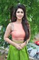 Telugu Heroine Sonarika Bhadoria Hot Images