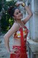 Sonia Agarwal Hot in Kathanayaki Movie Photos Gallery