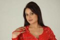 Sonia Agarwal Hot Pictures