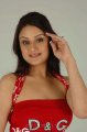 Sonia Agarwal Hot Photo Shoot Pics