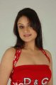 Sonia Agarwal Hot Photo Shoot Pics