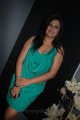 Actress Sona hot in SoundGarage Inauguration Stills