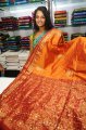 Sonia Deepti Silk Saree Pics