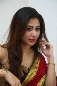 Actress Sonia Thakur Saree Stills @ Nenu Meeku Baga Kavalsina Vadini Interview