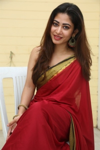 Nenu Meeku Baga Kavalsina Vadini Actress Sonia Thakur Red Saree Stills