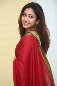 Nenu Meeku Baga Kavalsina Vadini Actress Sonia Thakur Saree Stills