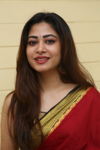 Actress Sonia Thakur Red Saree Stills @ Nenu Meeku Baga Kavalsina Vadini Interview