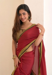 Nenu Meeku Baga Kavalsina Vadini Actress Sonia Thakur Saree Stills