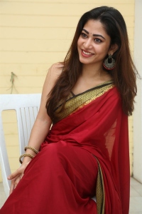 Actress Sonia Thakur Red Saree Stills @ Nenu Meeku Baga Kavalsina Vadini Interview