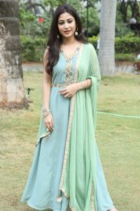 Actress Sonu Thakur Saree Pictures @ Roti Kapda Romance Press Meet
