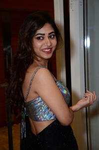 Actress Sonu Thakur Saree Stills @ Nenu Meeku Baaga Kavalsinavaadini Pre Release