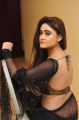 Actress Sony Charishta Hot in Black Saree Photos