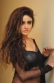 Actress Sony Charishta Hot Photos in Black Saree