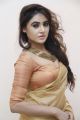 Telugu Actress Sony Charishta Hot in Sandal Color Saree Stills HD