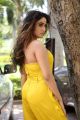 Actress Sony Charishta Hot  Yellow Dress Photos