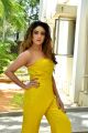 Actress Sony Charishta Hot Photos in Yellow Dress