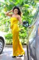 Actress Sony Charishta Hot Photos in Yellow Dress