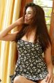 Actress Sony Charishta Hot Photoshoot Pics