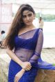 Actress Sony Charishta Hot Spicy Pics in Blue Saree