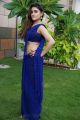 Actress Sony Charishta Hot in Blue Saree Pics