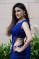 Actress Sony Charishta Hot Pics in Blue Saree