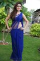 Actress Sony Charista Hot Pics in Blue Saree