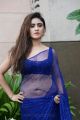 Actress Sony Charishta Hot Spicy Pics in Blue Saree