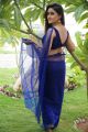 Actress Sony Charishta Hot Pics in Blue Saree