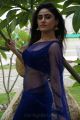 Actress Sony Charishta Hot Pics in Blue Saree