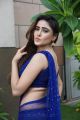 Actress Sony Charishta Hot Pics in Blue Saree