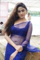 Actress Sony Charishta Hot Spicy Pics in Blue Saree