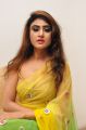 Actress Sony Charishta Hot Pics in Green Yellow Saree
