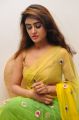 Actress Sony Charishta Green Yellow Saree Pics