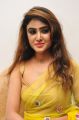 Actress Sony Charishta Hot Pics in Green Yellow Saree