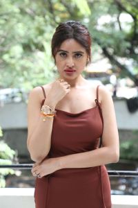 Actress Sony Charishta Stills @ Iddaru Pre Release